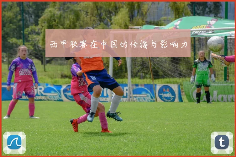 西甲联赛在中国的传播与影响力