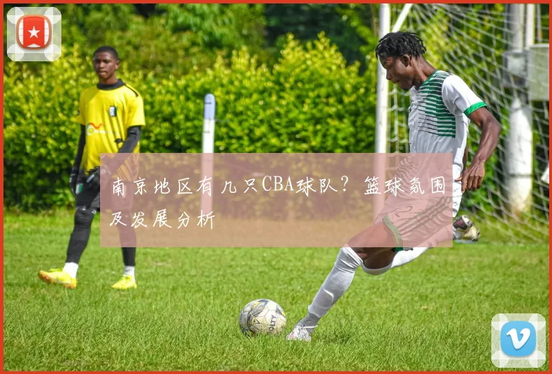 南京地区有几只CBA球队？篮球氛围及发展分析