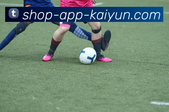 开云app平台生态图