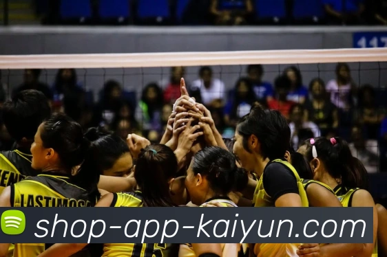 开云app服务体系